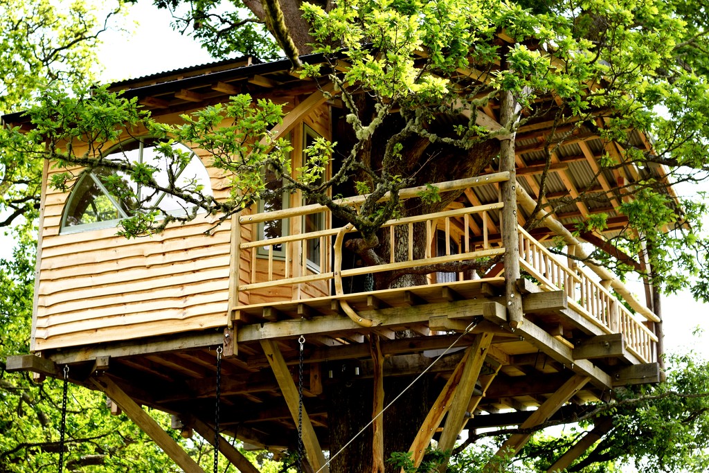 Now, that's what I call a tree house... by christophercox