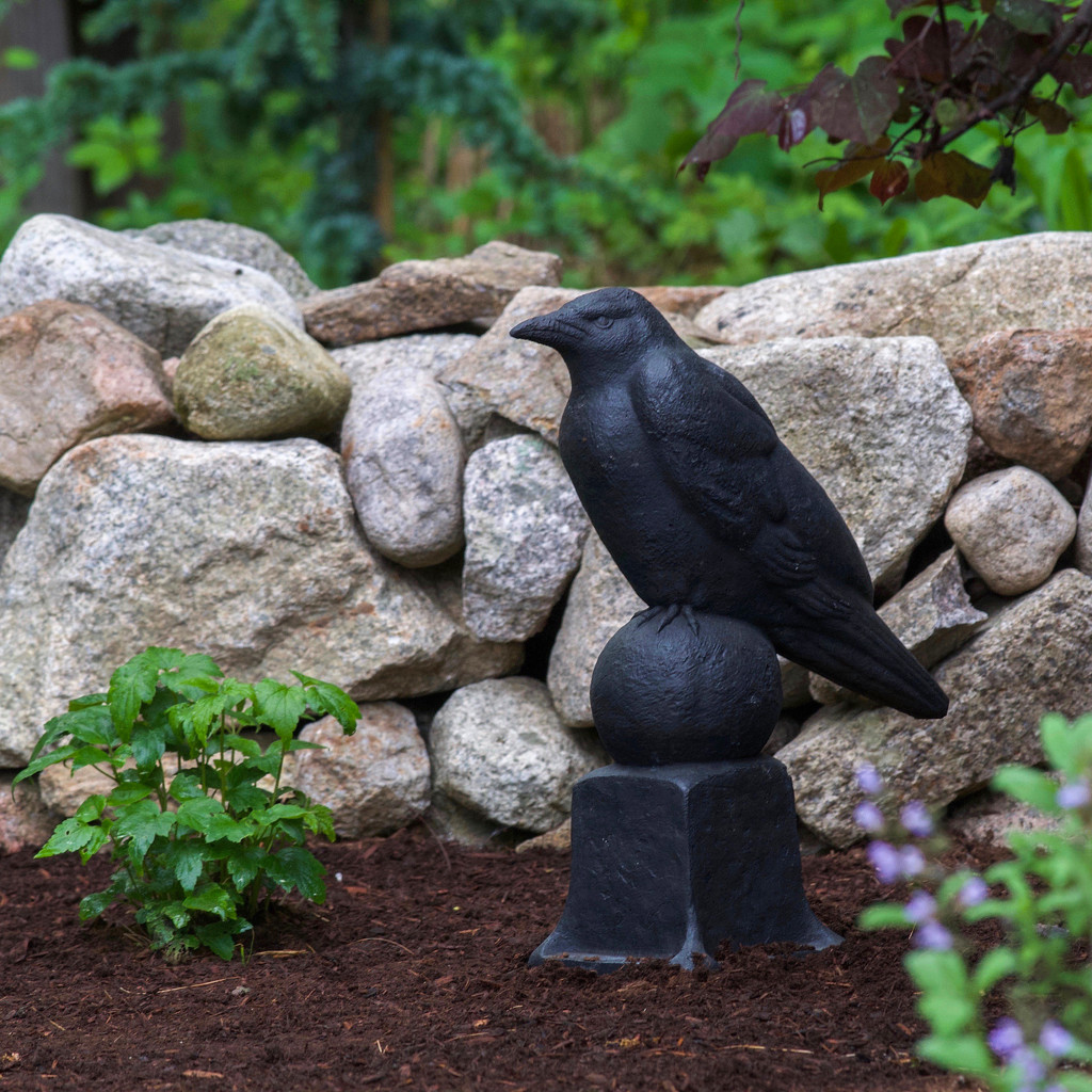 Garden raven on guard by berelaxed