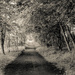 A long road by frequentframes