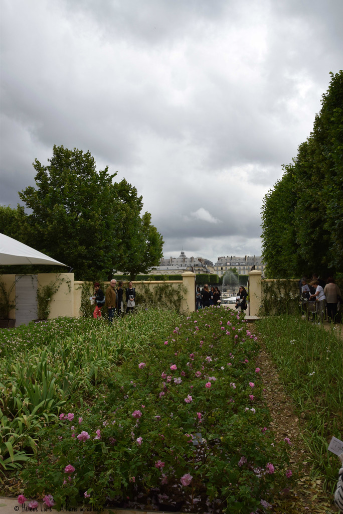 In Chanel's garden by parisouailleurs