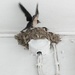 Swallows Readying for Flight by 30pics4jackiesdiamond