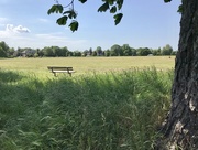 22nd May 2018 - Lonesome bench