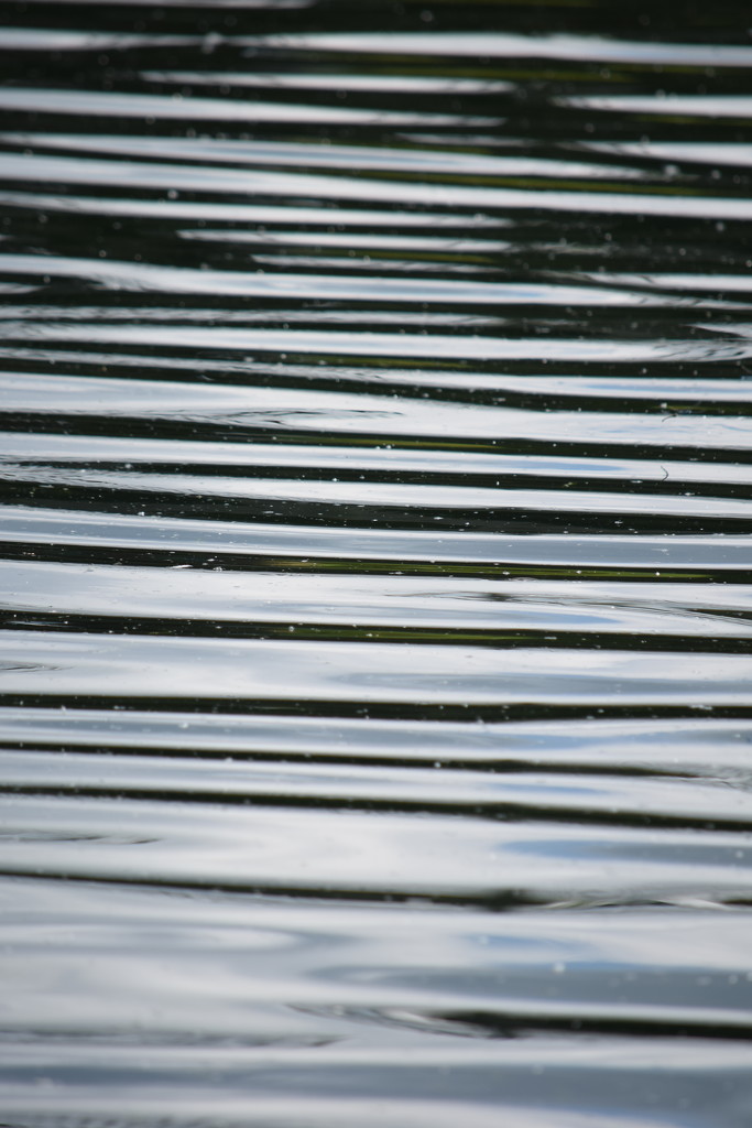 146. ripples by dragey74