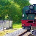 The Train at Rhyd-Ddu  by beryl
