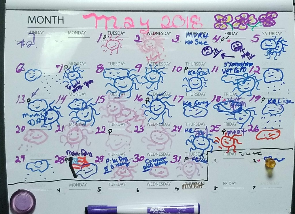 May 2018 Whiteboard Calendar by meotzi