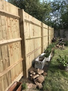 8th May 2018 - New fence...