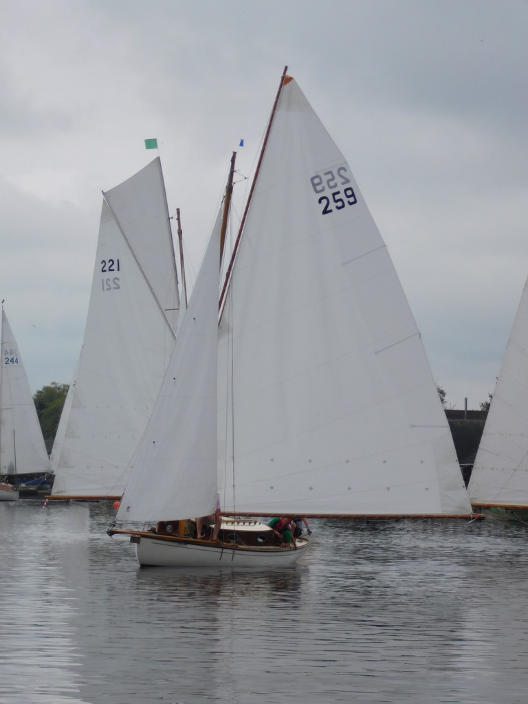 Sailing at Horning by 365anne