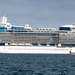 Celebrity Eclipse by lifeat60degrees