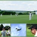 English Country Cricket by judithdeacon