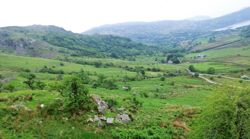 A view in Snowdonia  by beryl