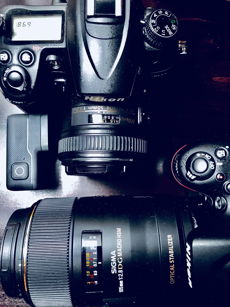 Some cameras  by dakotakid35