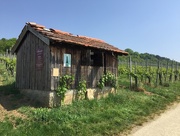 1st Jun 2018 - Wooden house in the german vineyards.
