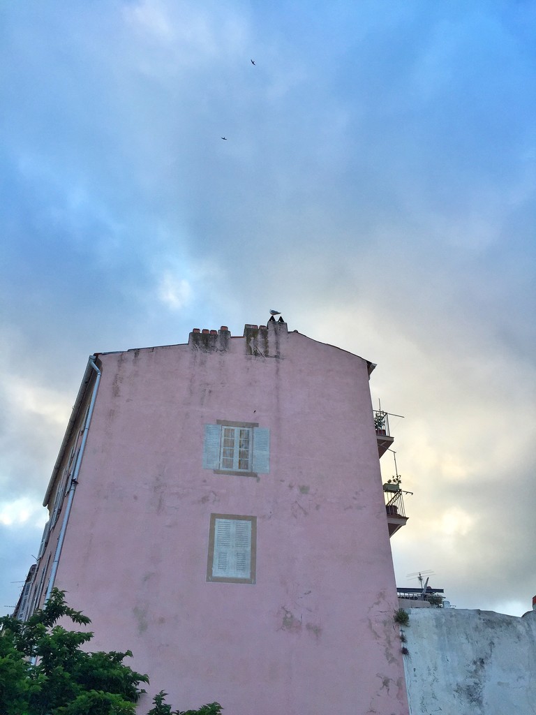 Pink house and false windows. by cocobella