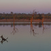 Sunrise in Kruger by leonbuys83