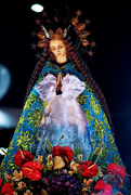 5th Jun 2018 - Virgen de Las Flores