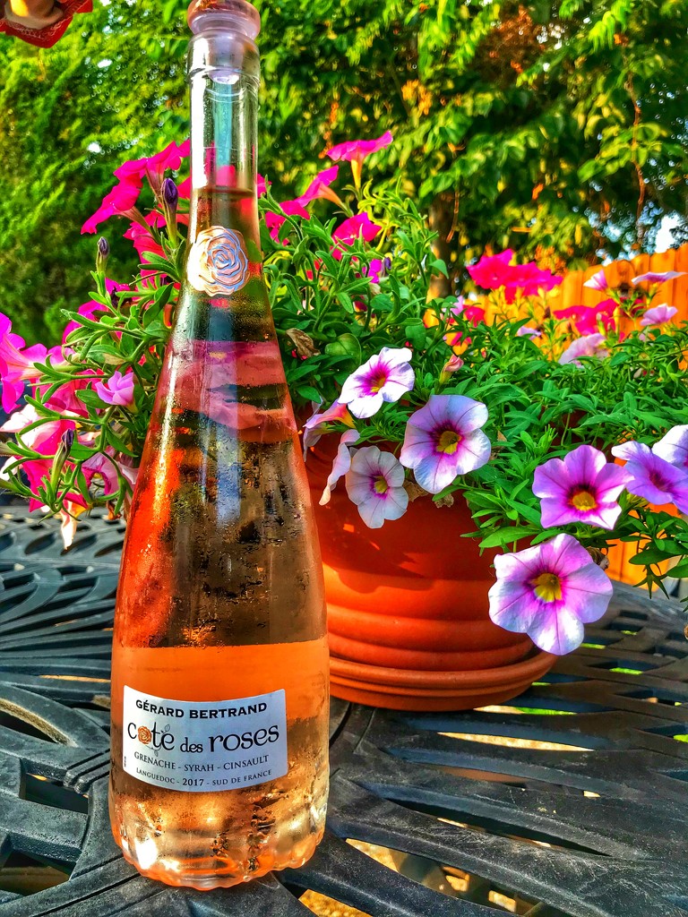 The Rose wine bottle by louannwarren
