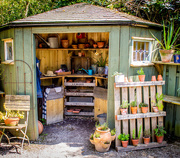21st May 2018 - Potting shed