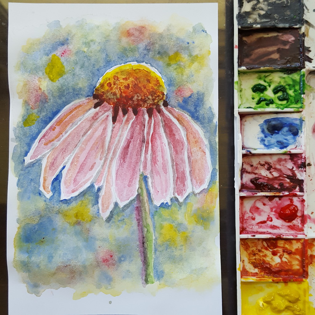 Watercolor Coneflower by dsp2