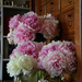 Bouquets by parisouailleurs