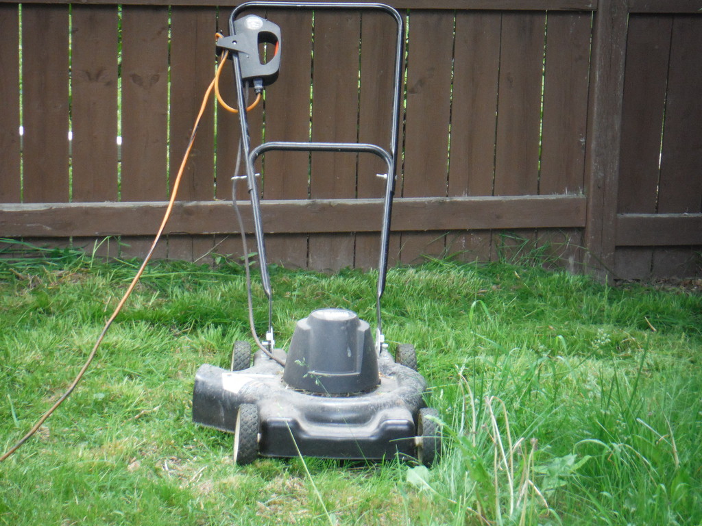 Today's Project: Mow the Lawn by spanishliz