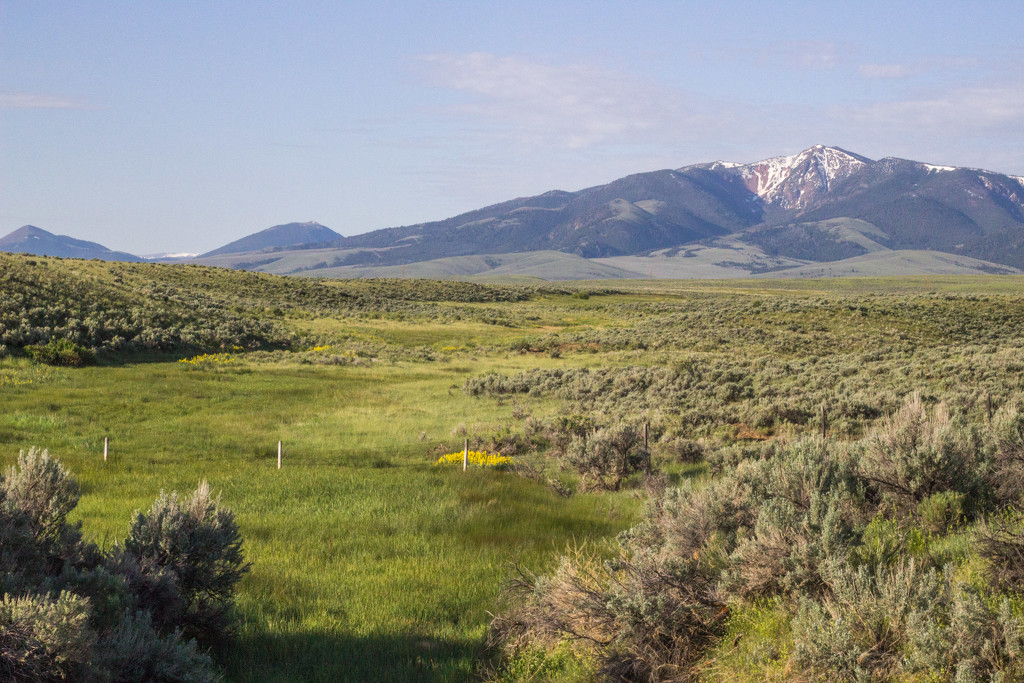 Jeff Davis Peak, Montana by jetr