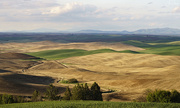 8th Jun 2018 - Lines and Curves at Steptoe Butte 