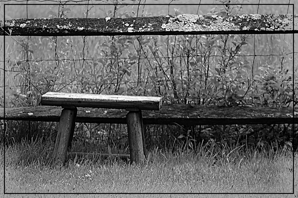 A Little Bench by the Fence by olivetreeann