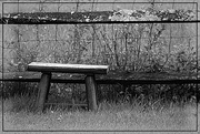 5th Jun 2018 - A Little Bench by the Fence