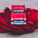 (Day 113) - Long to Be a Rose-Royce by cjphoto