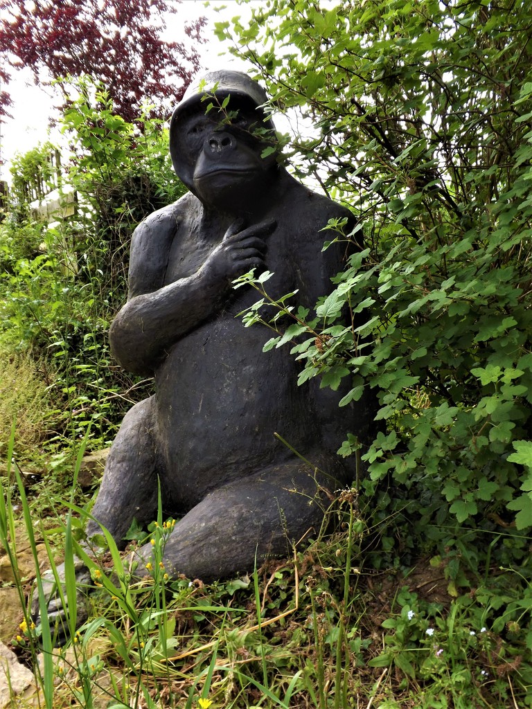 Gorilla in the woods by ajisaac