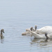 Family paddle by mccarth1