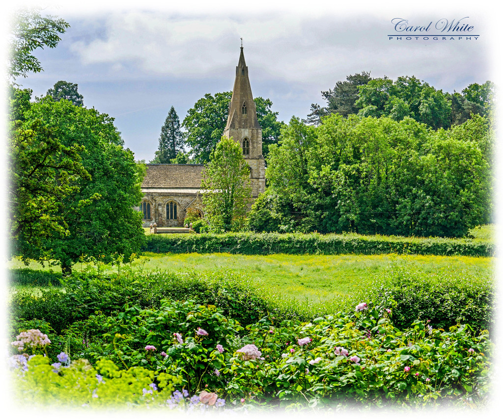 St.Denys Church From Kelmarsh Gardens by carolmw