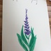 Hand Painted Card by cataylor41