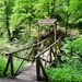 Forest walking bridge. by kork