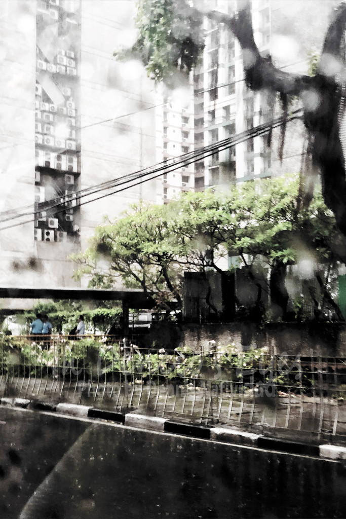 Raindrops On The Window by iamdencio