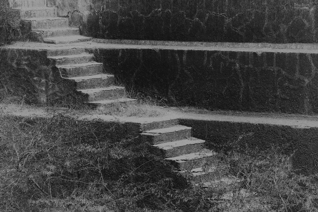 Small step well at Taragarh Fort by dkbarnett
