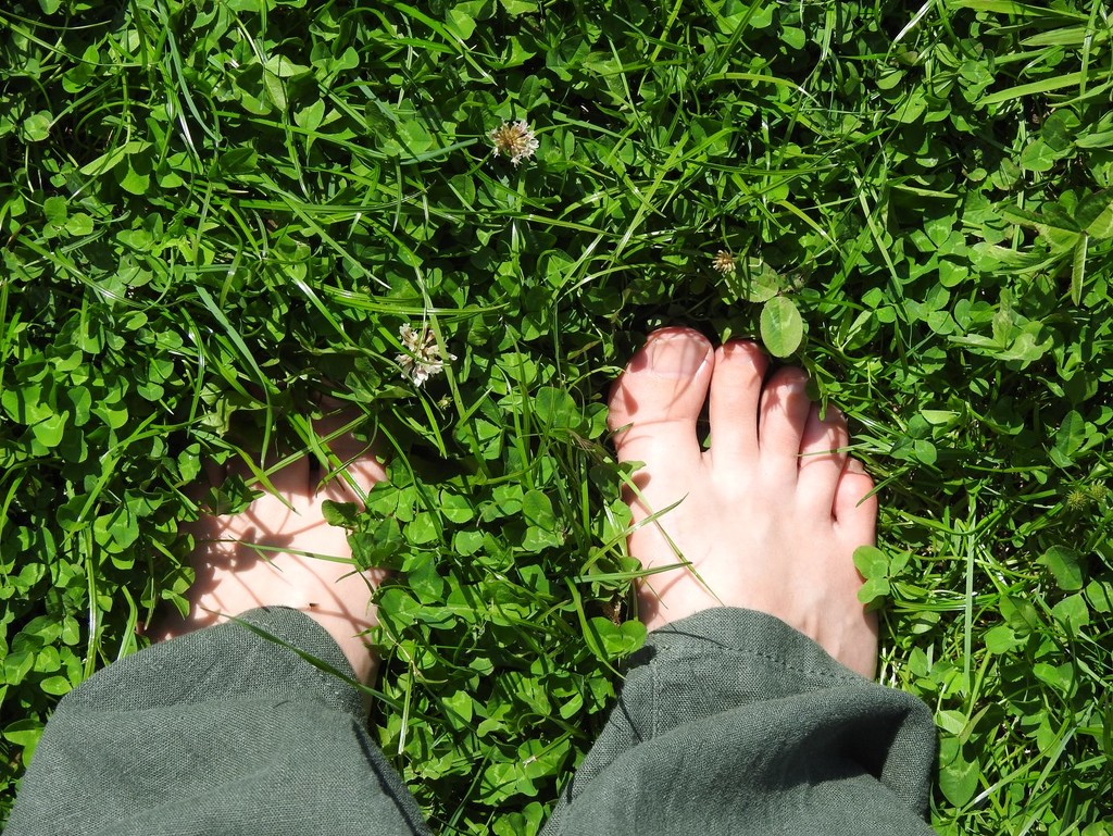 Grass beneath my feet by roachling
