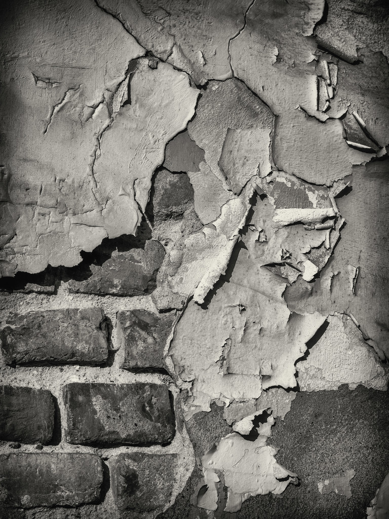 The wall by haskar