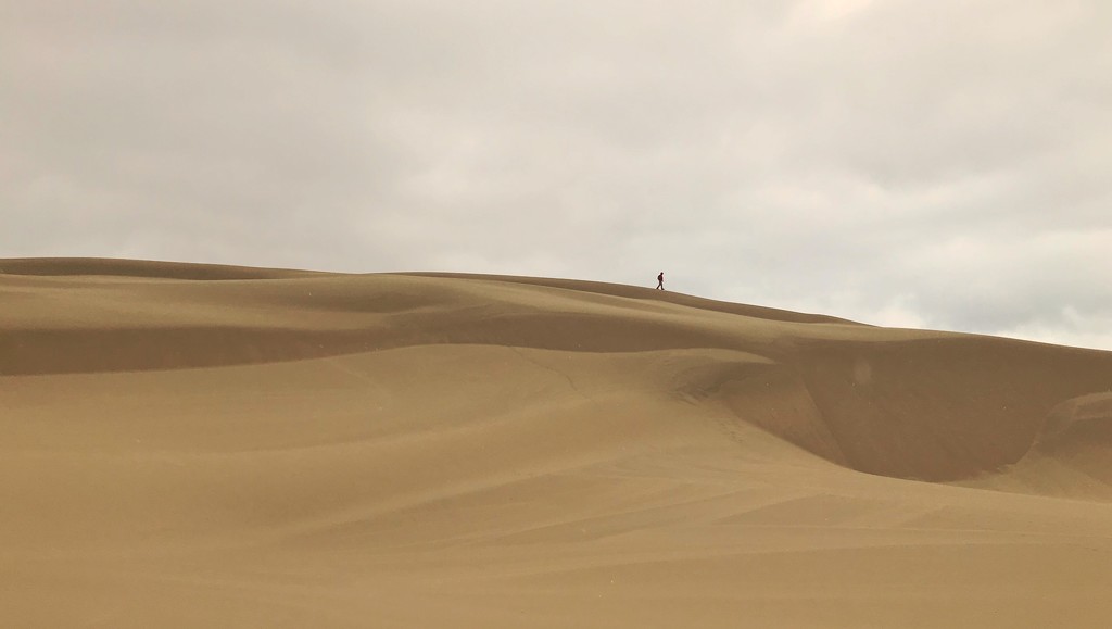 Lone Hiker on the Dunes by jgpittenger