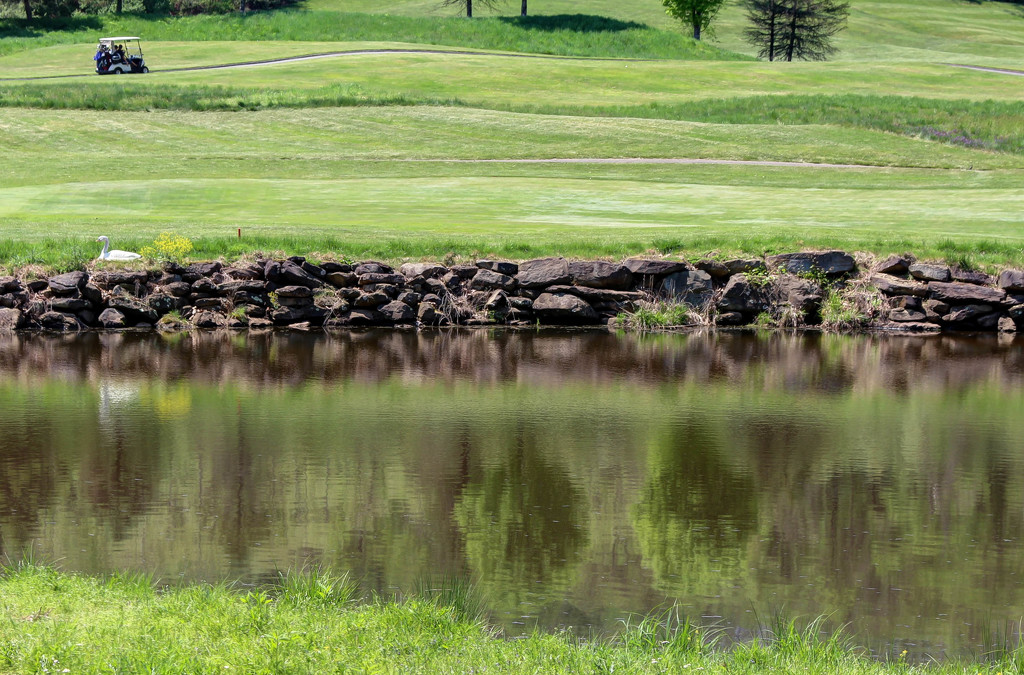 Reflections on the golf course by mittens