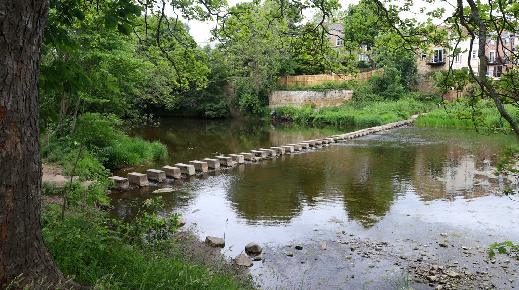 Morpeth Stepping Stones by lifeat60degrees