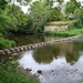 Morpeth Stepping Stones by lifeat60degrees