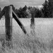 Fencepost by lsquared