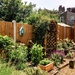 Sunny garden by boxplayer
