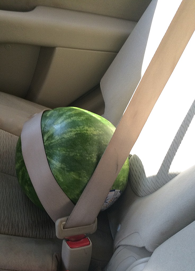 Secure melon by homeschoolmom