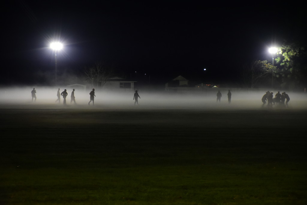 Training in the Mist by nickspicsnz