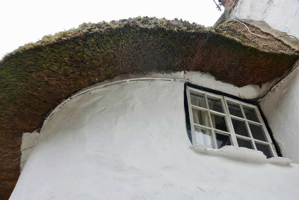Thatched roof, Cornwall by swagman