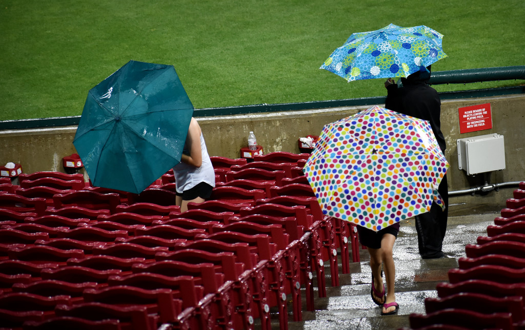 Three Umbrellas in the Stadium by alophoto
