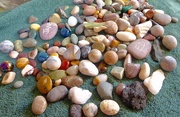 14th Jun 2018 - Clean up the garden day today. I even washed my dish of stones. 