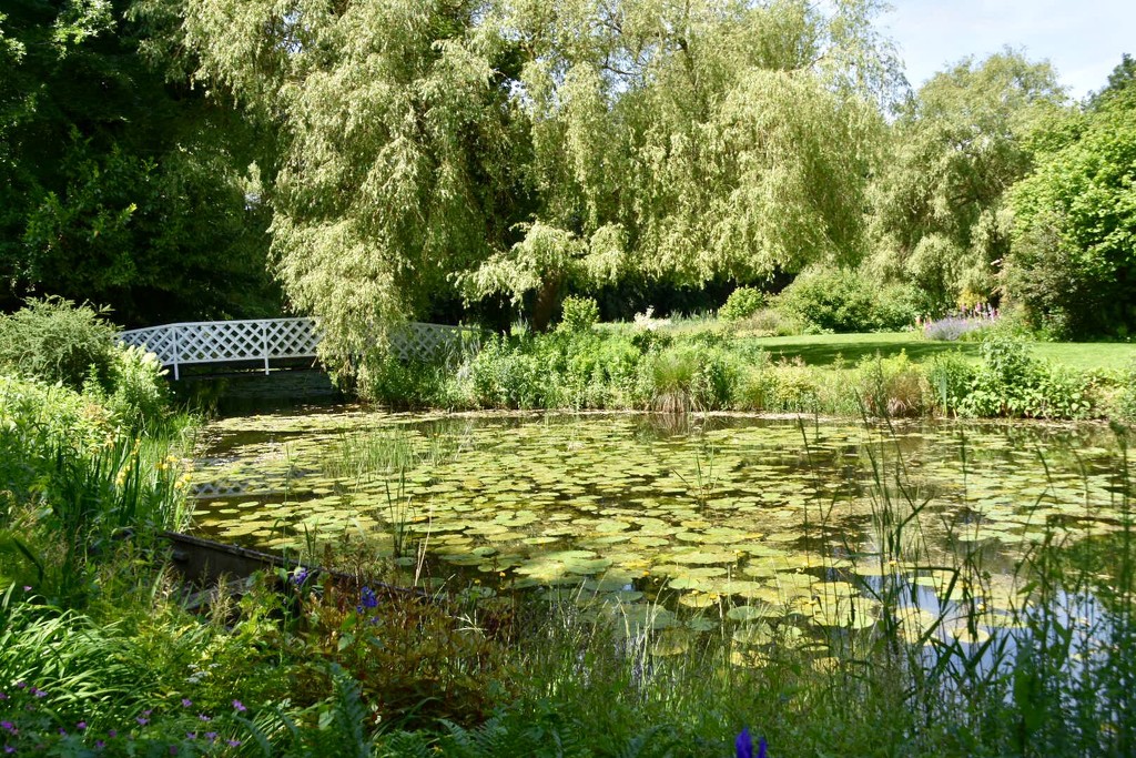 Monet Pond by gillian1912